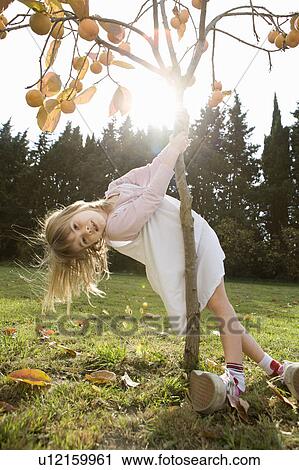Girl playing with tree View Large Photo Image Stock Image - Girl playing with tree. Fotosearch