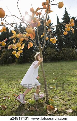 Girl running around tree View Large Photo Image Stock Image - Girl running around tree. Fotosearch