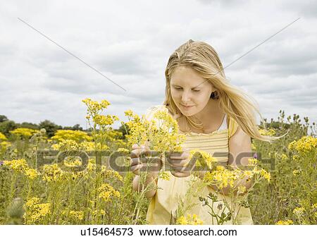 Girl smelling flowers in field View Large Photo Image Stock Image - Girl smelling flowers in field. Fotosearch
