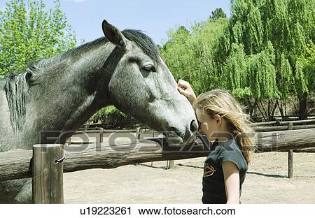 Stock Image - Girl stroking horse. Fotosearch