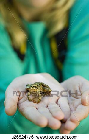 girl with a little frog View Large Photo Image Stock Photograph - girl with a little frog. Fotosearch