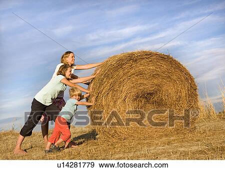 girl, woman, boy pushing hay bale View Large Photo Image Stock Photo - girl, woman, boy pushing hay bale. Fotosearch