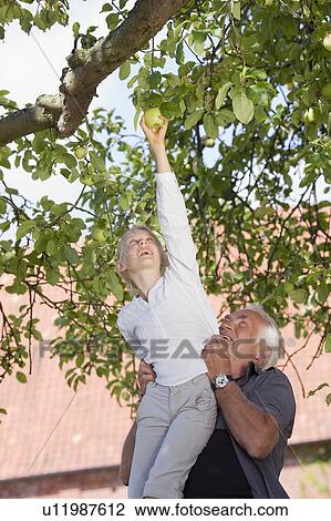 Stock Image - grandfather helping granddaughter. Fotosearch