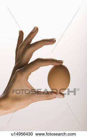 Hand holding brown free range egg View Large Photo Image Stock Image - Hand holding brown free range egg. Fotosearch