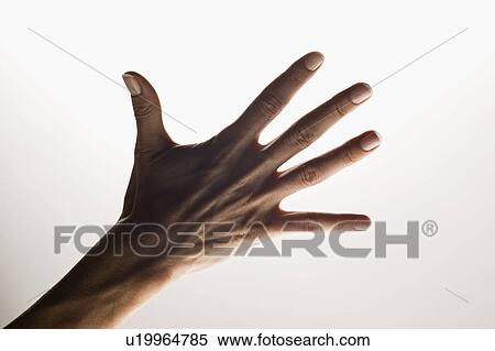 Hands making emphatic gesture View Large Photo Image Stock Photography - Hands making emphatic gesture. Fotosearch