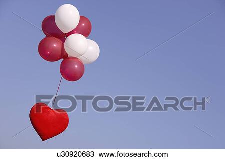 heart flying with helium balloons View Large Photo Image Stock Image - heart flying with helium balloons. Fotosearch