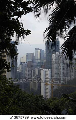 Hong Kong view through trees View Large Photo Image Stock Photo - Hong Kong view through trees. Fotosearch