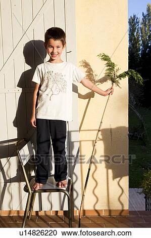 little boy standing on a chair View Large Photo Image Stock Image - little boy standing on a chair. Fotosearch