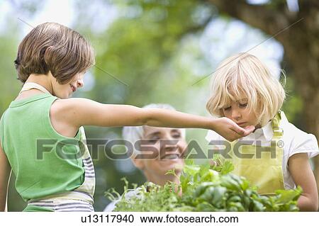 little girl examines something carefully View Large Photo Image Stock Image - little girl examines something carefully. Fotosearch