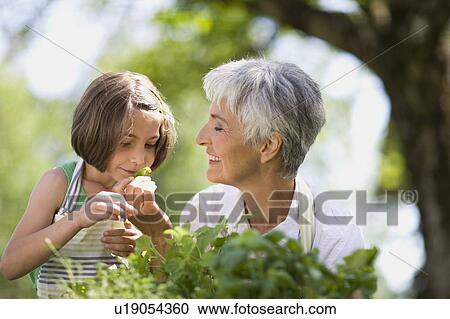 little girl examines something carefully View Large Photo Image Stock Image - little girl examines something carefully. Fotosearch