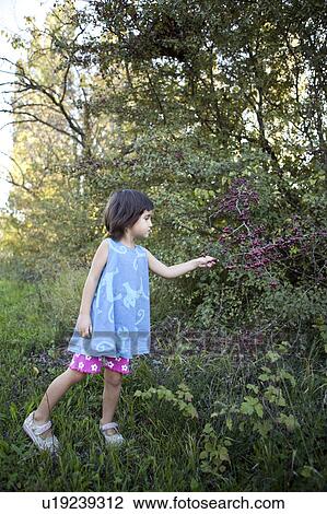 little girl picking berries View Large Photo Image Stock Image - little girl picking berries. Fotosearch