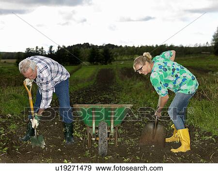 Stock Photo - Man and woman shoveling dirt. Fotosearch