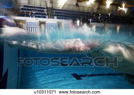 Man in Pool View Large Photo Image Stock Image - Man in Pool. Fotosearch