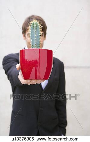 man in suit holding cactus View Large Photo Image Stock Photography - man in suit holding cactus. Fotosearch
