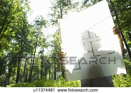 Man in the woods, looking at blueprint View Large Photo Image Stock Image - Man in the woods, looking at blueprint. Fotosearch