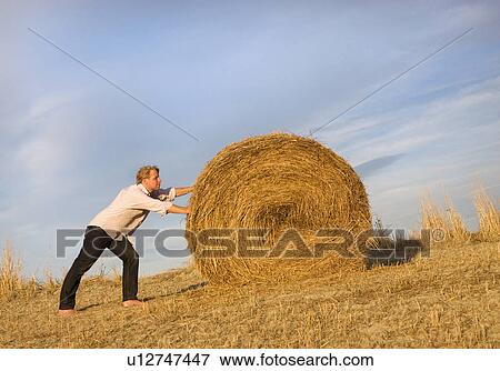man pushing hay bale View Large Photo Image Stock Photo - man pushing hay bale. Fotosearch