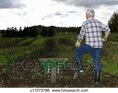 Stock Photograph - Man resting on shovel. Fotosearch
