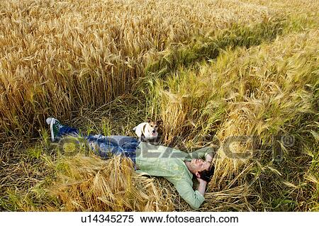 Man with dog laying down in wheat field View Large Photo Image Stock Photography - Man with dog laying down in wheat field. Fotosearch