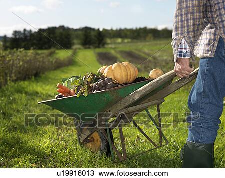 Man with wheelbarrow View Large Photo Image Stock Image - Man with wheelbarrow. Fotosearch