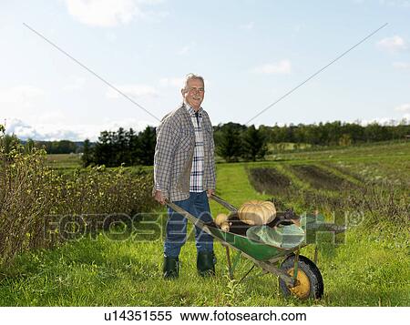 Mature man with wheelbarrow View Large Photo Image Stock Photography - Mature man with wheelbarrow. Fotosearch