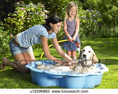 Mother and daughter washing the dog View Large Photo Image Stock Image - Mother and daughter washing the dog. Fotosearch