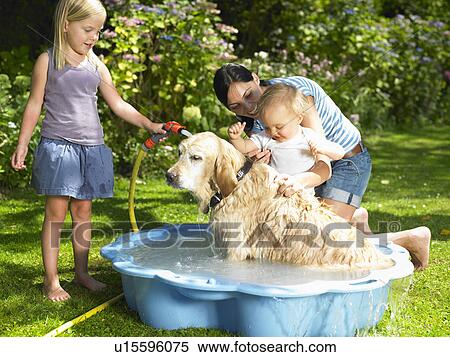 Stock Photography - Mother, daughter and son washing the dog. Fotosearch