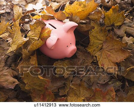 Piggy bank on leaves View Large Photo Image Stock Image - Piggy bank on leaves. Fotosearch