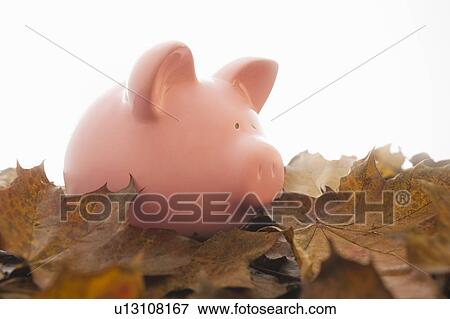 Stock Photo - Piggy bank on leaves. Fotosearch