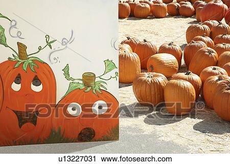 Stock Image - Pumpkins with painting of pumpkins. Fotosearch