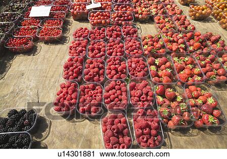 Punnets of fruit View Large Photo Image Stock Image - Punnets of fruit. Fotosearch