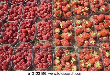Punnets of fruit View Large Photo Image Stock Photograph - Punnets of fruit. Fotosearch