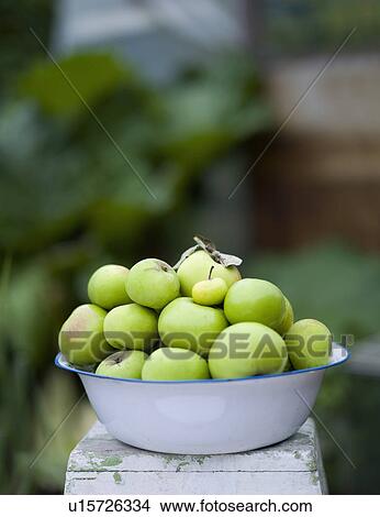 Picture - Some freshly picked apples. Fotosearch