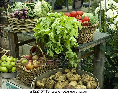Stock Image - Some freshly picked produce. Fotosearch