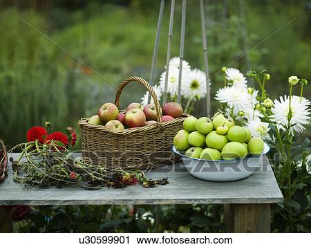 Stock Image - Some freshly picked produce. Fotosearch