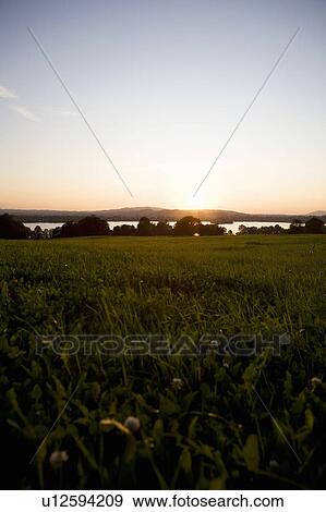 Stock Photo - Sundown by a lake. Fotosearch