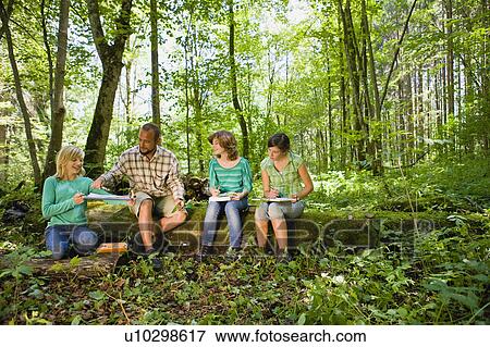 teacher and pupils at the wood View Large Photo Image Stock Photo - teacher and pupils at the wood. Fotosearch