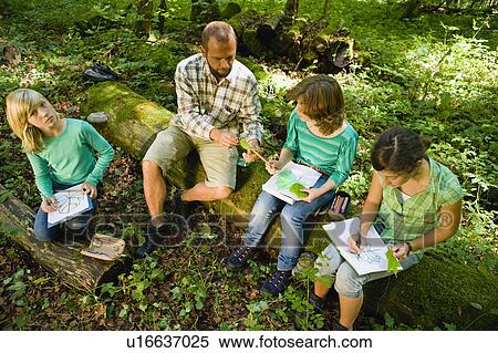 Stock Photography - teacher and pupils at the wood. Fotosearch