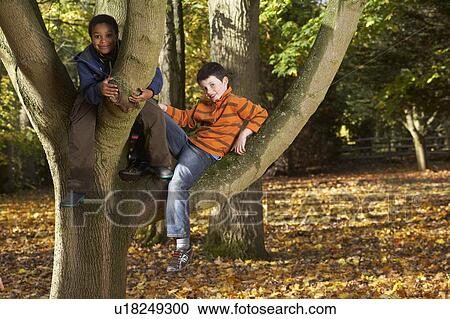 Two boys sitting in a tree View Large Photo Image Stock Image - Two boys sitting in a tree. Fotosearch