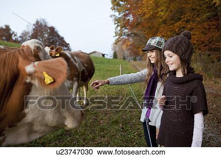 Two girls at a pasture with cows View Large Photo Image Stock Image - Two girls at a pasture with cows. Fotosearch