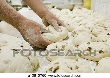 Two hands working on rolls in a bakery View Large Photo Image Stock Image - Two hands working on rolls in a bakery. Fotosearch