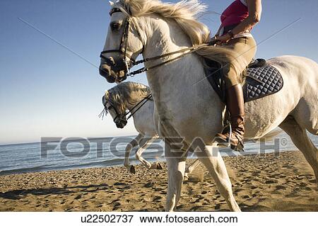 Two women riding horses on beach View Large Photo Image Stock Photo - Two women riding horses on beach. Fotosearch