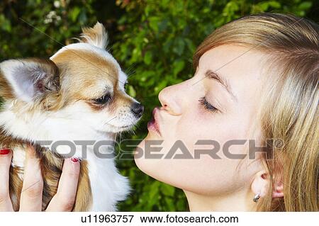 Woman and her Chihuahua View Large Photo Image Stock Photo - Woman and her Chihuahua. Fotosearch