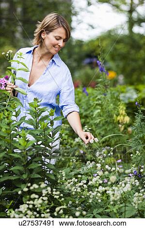 Stock Image - woman in blue shirt gardening. Fotosearch