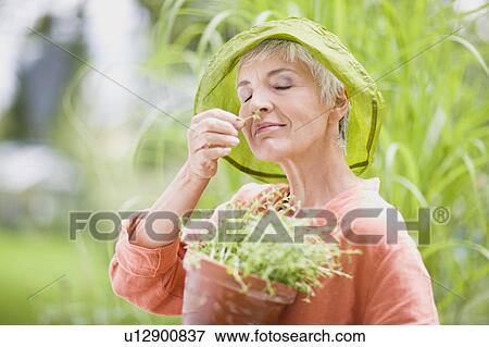 woman in garden View Large Photo Image Stock Photo - woman in garden. Fotosearch