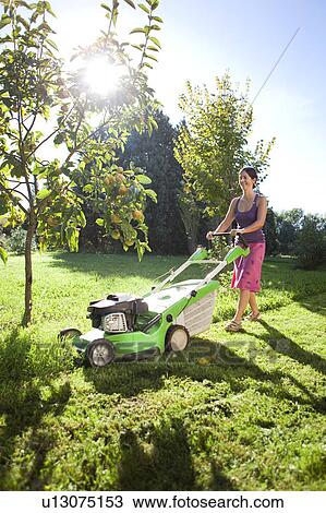 woman mowing the lawn View Large Photo Image Stock Image - woman mowing the lawn. Fotosearch