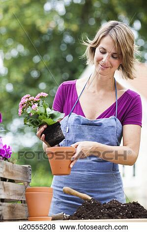 woman potting flowers View Large Photo Image Stock Photo - woman potting flowers. Fotosearch