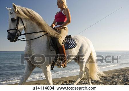 Woman riding horse on the beach View Large Photo Image Picture - Woman riding horse on the beach. Fotosearch