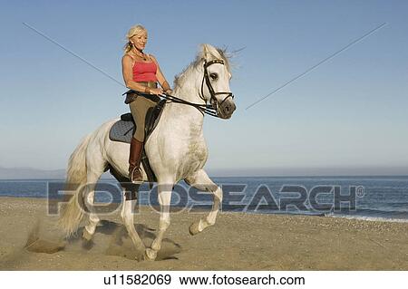 Woman riding horse on the beach View Large Photo Image Stock Photo - Woman riding horse on the beach. Fotosearch