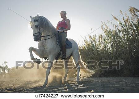 Woman riding horse on the beach View Large Photo Image Stock Photo - Woman riding horse on the beach. Fotosearch