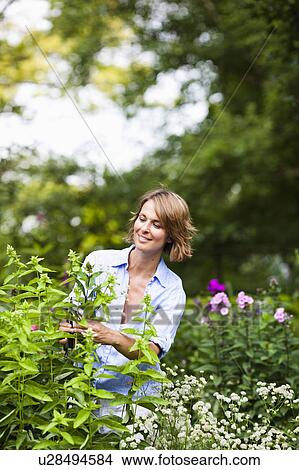 woman taking care of plants View Large Photo Image Picture - woman taking care of plants. Fotosearch